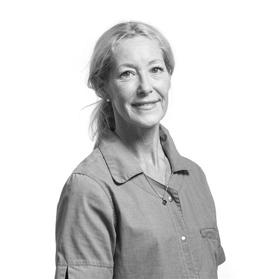 Helen Bengtsson, Tandvårdslaget