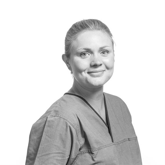 Anna Nyberg, Tandvårdslaget Anna Nyberg, Tandvårdslaget